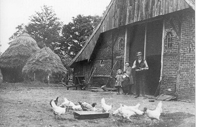 <p>Traditioneel boeren erf. De achtergevel van de boerderij is nog uitgevoerd in vakwerk, de oorspronkelijke vulling daarvan is vervangen door baksteen. </p>
